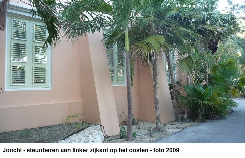17. Jonchi steunberen aan de oostzijde 2009